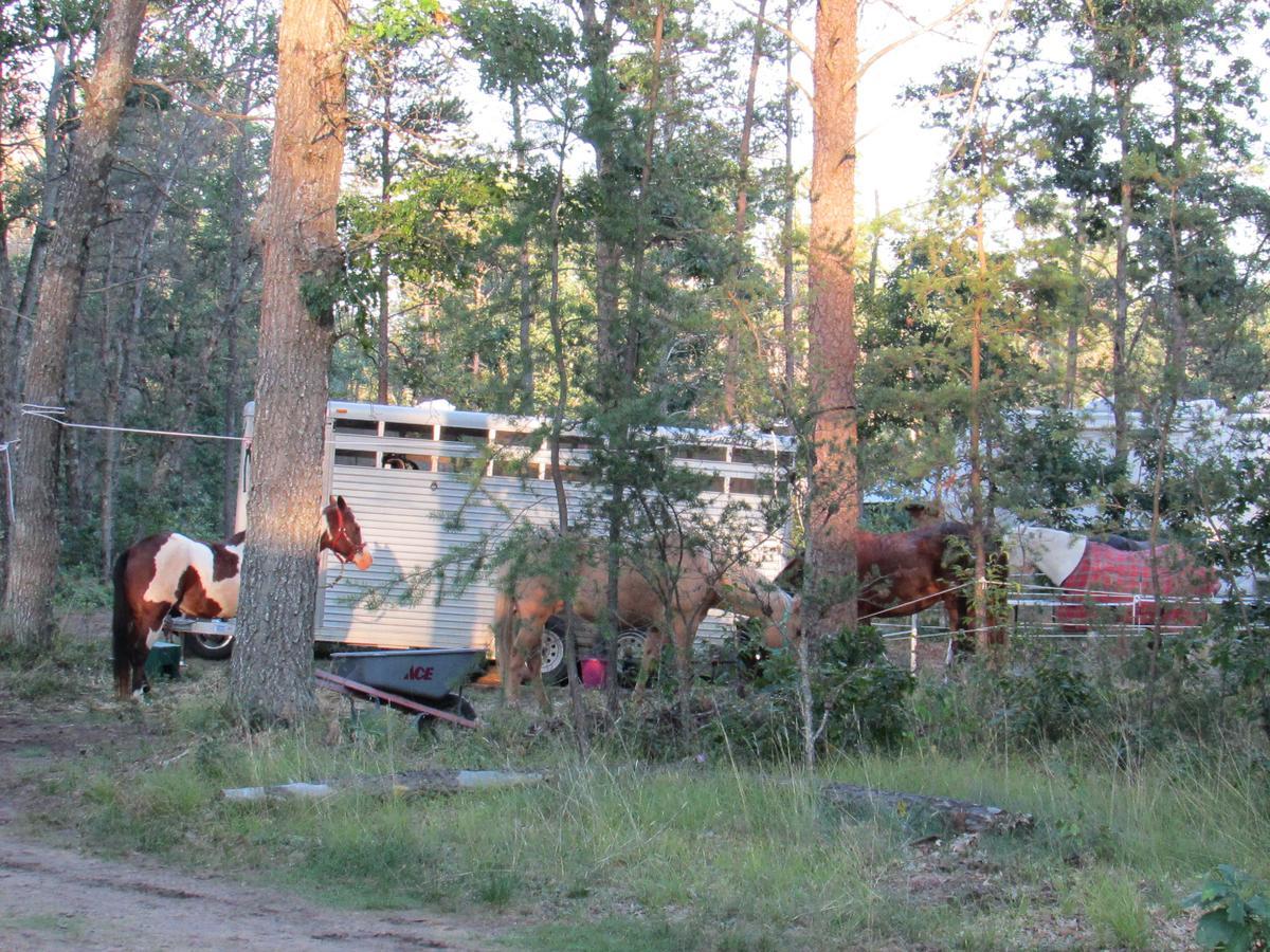 Best Bear Lodge & Campground Irons Εξωτερικό φωτογραφία