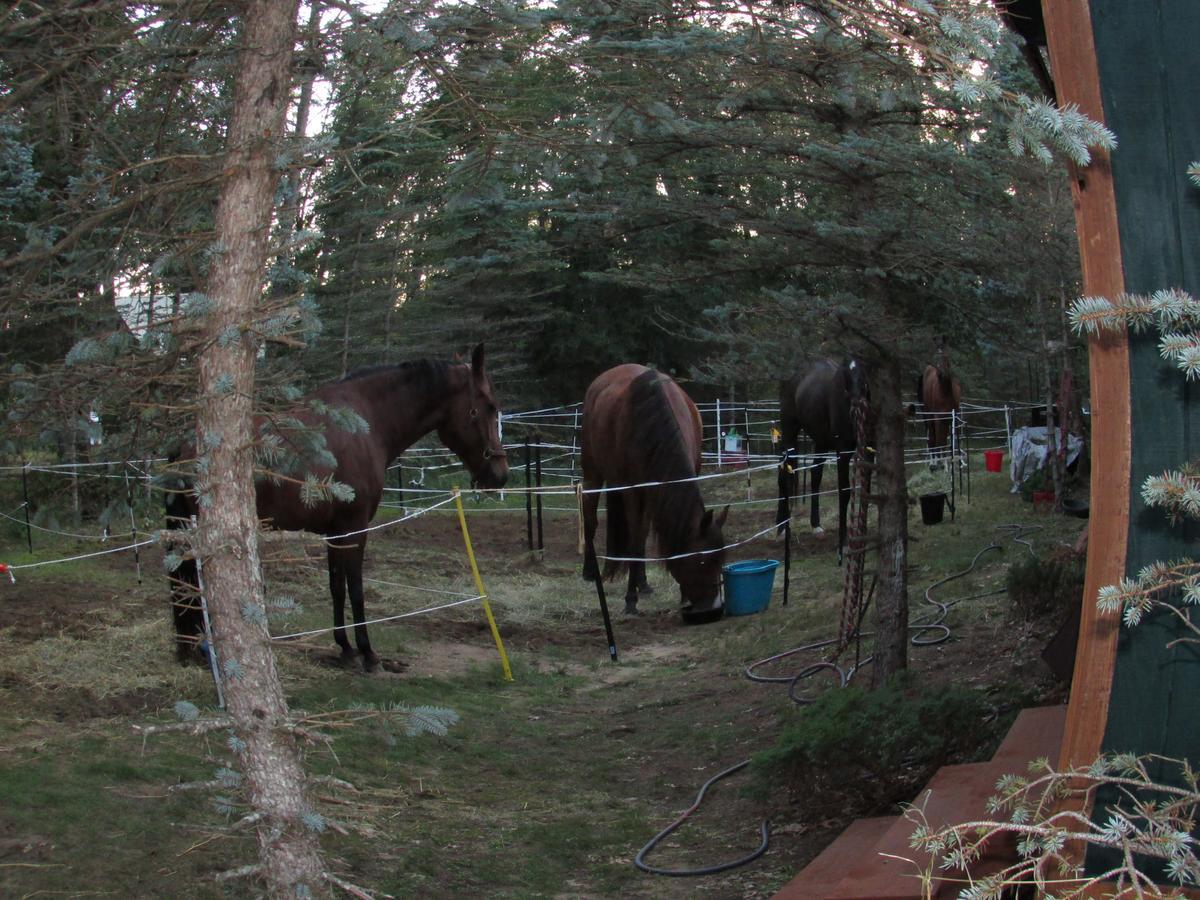 Best Bear Lodge & Campground Irons Εξωτερικό φωτογραφία